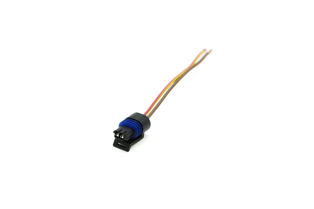 PowerLite 2 Pin Plug